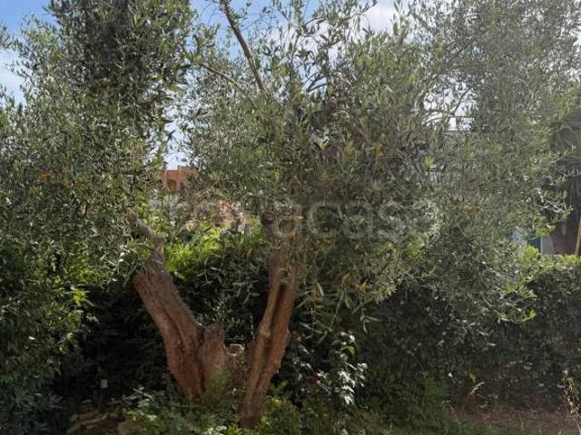 Vendesi villa bifamiliare a Cerveteri via degli Aceri, 32