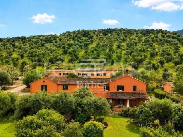 Vendesi villa singola a Grosseto, Roselle Nomadelfia