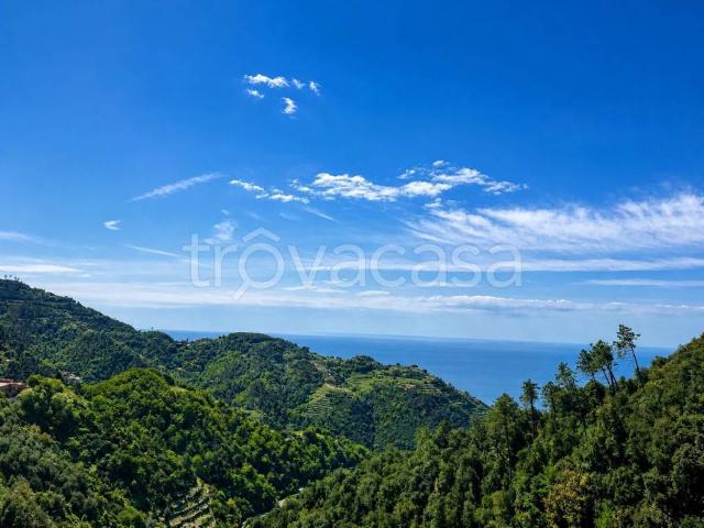 Vendesi villa bifamiliare a Vernazza