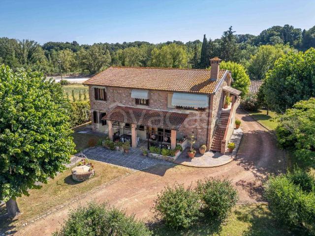Vendesi villa singola a Terricciola