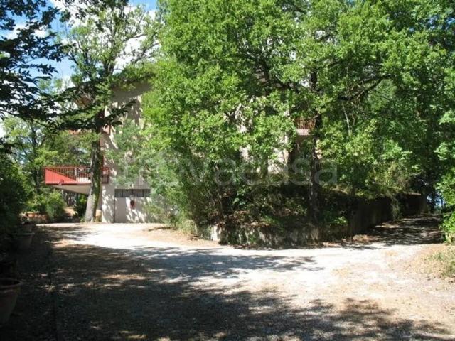 Vendesi villa singola a Urbino