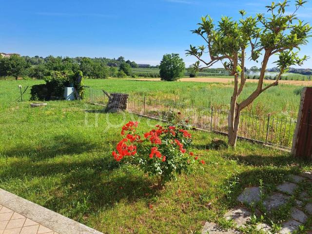 Vendesi villa singola a Villanova Mondovì via Giardini, 43