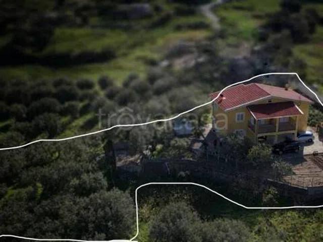 Vendesi villa singola a Belvedere Marittimo via Livorni No Number