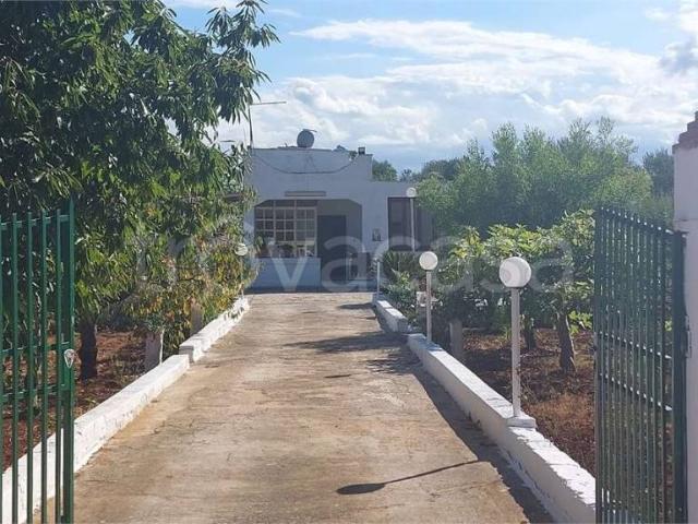 Vendesi villa singola a Carovigno