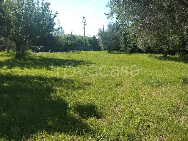 Vendesi villa singola a Castel Morrone via Scese Lunghe, 27