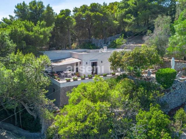 Vendesi villa singola a Castro