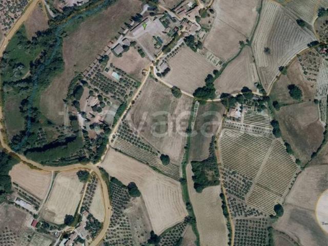 Vendesi villa singola a Cetona