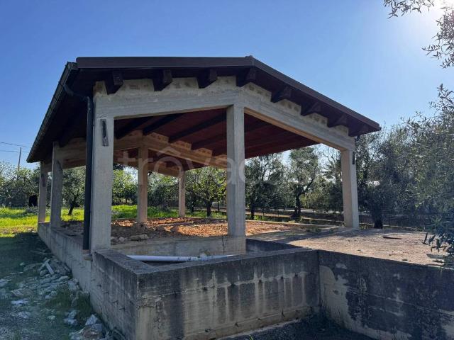 Vendesi villa singola a Corato