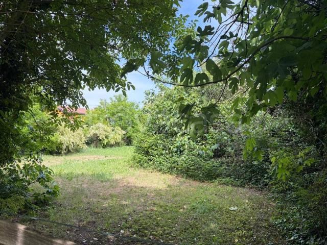 Vendesi villa singola a Curtarolo, Santa Maria Di Non