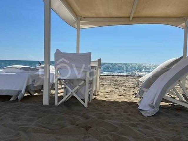 Vendesi villa singola a Forte dei Marmi via Piave, 6