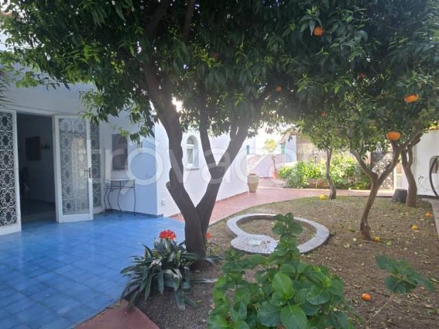 Vendesi villa singola a Ischia Porto, Ischia