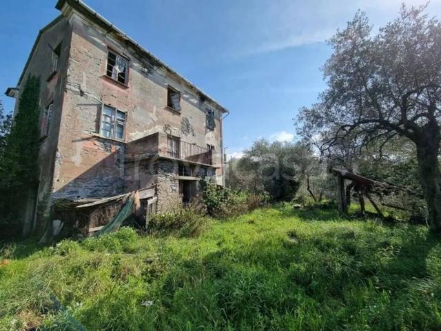 Vendesi villa singola a Lavagna