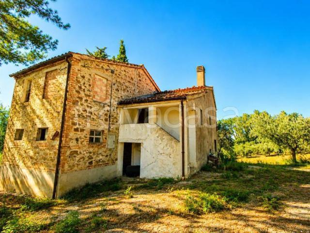 Vendesi villa singola a Maiolati Spontini