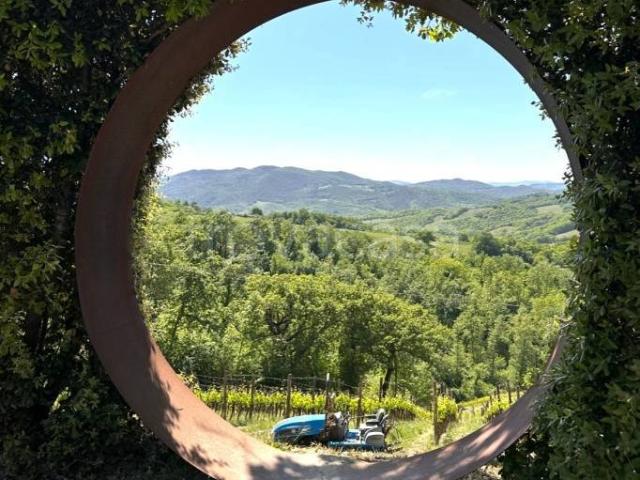 Vendesi villa singola a Monteguidi, Casole d'Elsa