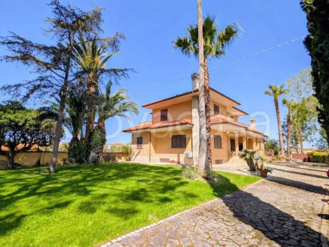 Vendesi villa singola a Nettuno