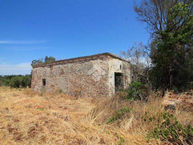 Vendesi villa singola a Ostuni