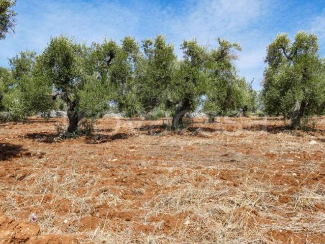 Vendesi villa singola a Ostuni