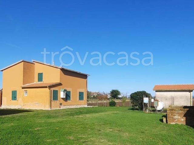 Vendesi villa singola a Orbetello