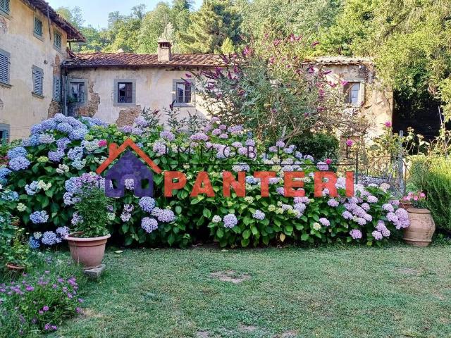 Vendesi villa singola a Pescia via Casa Nuova