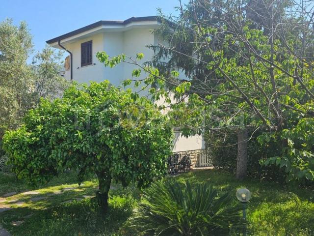 Vendesi villa singola a Pietrasanta via della Repubblica, 10