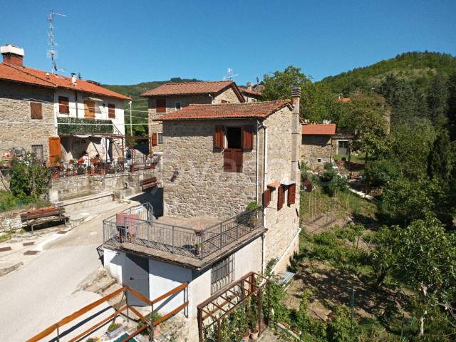 Vendesi villa singola a Rufina