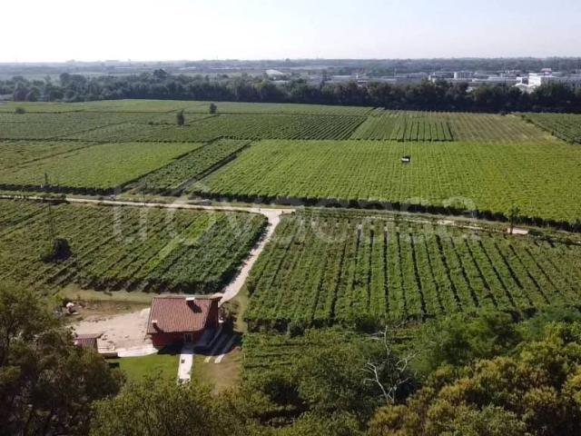 Vendesi villa singola a San Pietro in Cariano via Campagnole, 54A
