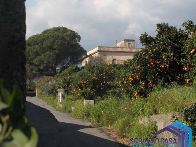 Vendesi villa/villetta a Mascali