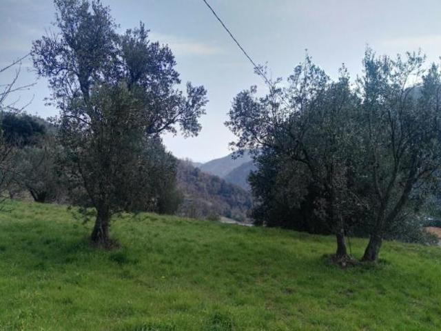 VENDESI