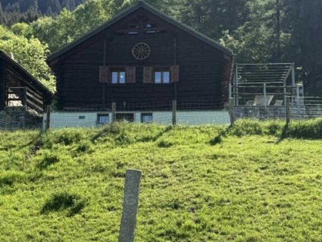 Vendiamo in luogo idilliaco bel rustico in legno e pietra