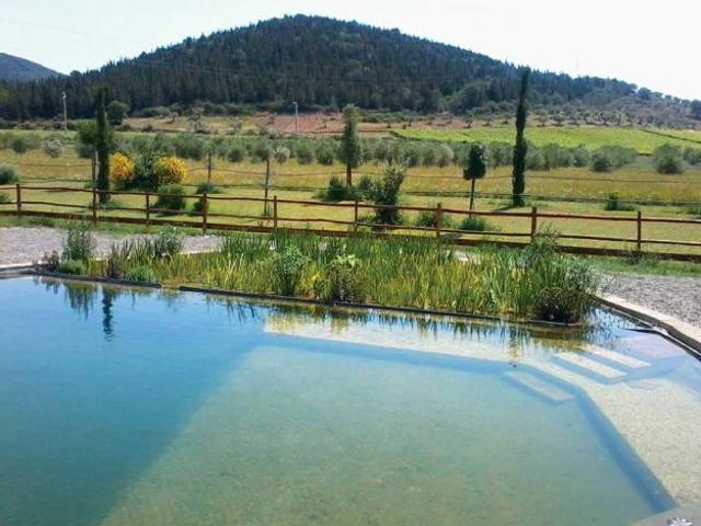 Vendita Rustico casale da 500 mq con giardino