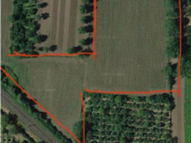 Vendita terreno agricolo
