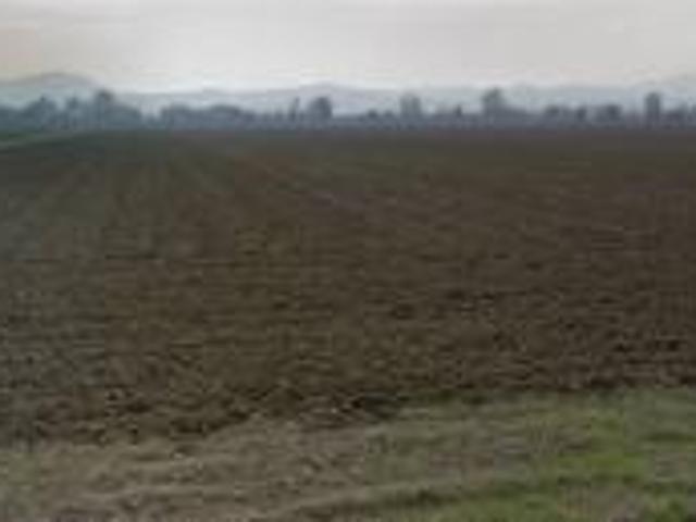 Vendita Terreno agricolo da 127185 mq in Via Masini con giardino