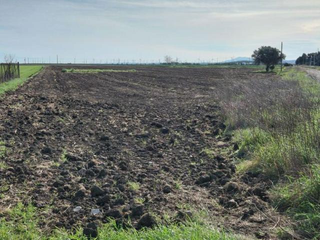 VENDITA TERRENI AGRICOLI LOCALITA' BORGO CERVARO