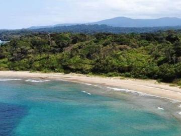VENDO 400 HA A 7,00 USD XMTS2 EN VERAGUAS CALOVÉBORA
