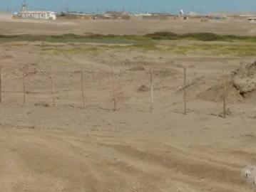 Vendo 6.55 hectáreas en Playa Lagunas en Chiclayo Mocupe