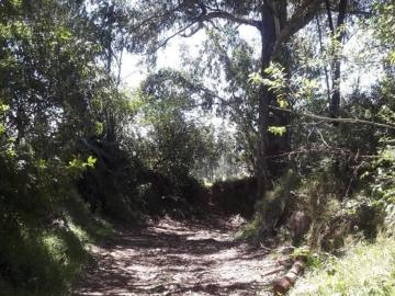 Vendo 8 Hectareas de Terreno en Amaguaña