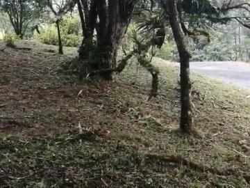 VENDO 2 LOTES ALTOS DEL MARÍA SECTOR SANTIAGO APÓSTOL 1225M2. $35M2 cv