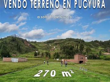 VENDO 2 TERRENOS COLINDANTES EN PUCYURA