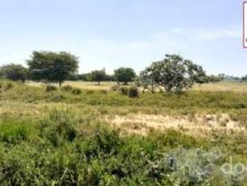 VENDO TERRENO AGRICOLA DE 5.3 Has EN INDEPENDENCIA PISCO KM 14 VIA LOS LIBERTADORES