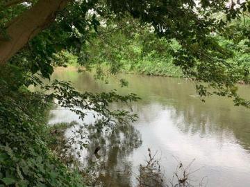Vendo Terreno agrícola/ ecoturístico en Jamapa, Veracruz con orilla al río