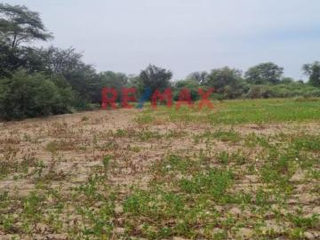 Vendo Terreno Agricola Pacora Lambayeque. C.RIVERA