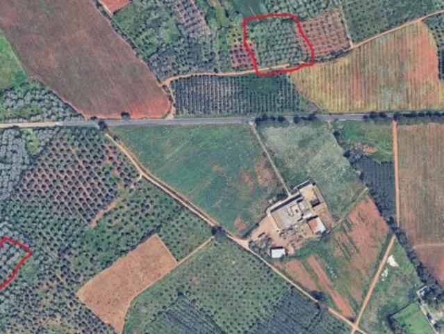 Vendo terreno agricolo