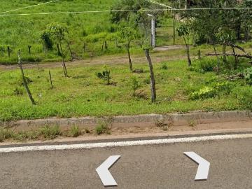 VENDO TERRENO CAMPESTRE ROBERTO PELAYO ARÉCHIGA 317 381 7745