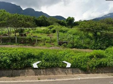 VENDO TERRENO CAMPESTRE ROBERTO PELAYO ARÉCHIGA 317 381 7745