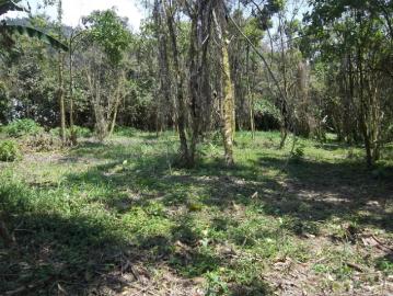 VENDO TERRENO DE OPORTUNIDAD EN MINDO