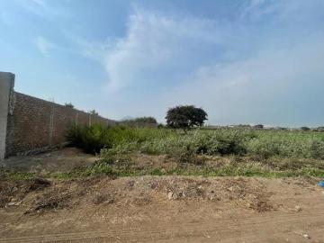 VENDO TERRENO DE 5,000m2 EN CHACARILLA DE BARRAZA TRUJILLO