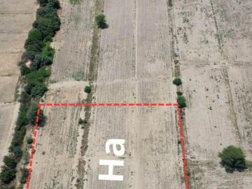 Vendo Terreno En Catacaos Piura de 13300 m2 gmartinez
