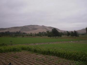 VENDO TERRENO EN HUACHO 20,114 m² PRECIO: $15/m²