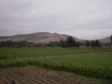 VENDO TERRENO EN HUACHO 20,114 m² PRECIO: $15/m²