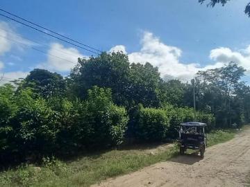 VENDO TERRENO EN TARAPOTO LA BANDA DE SHILCAYO